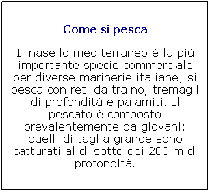 Casella di testo: Come si pesca

Il nasello mediterraneo  la pi importante specie commerciale per diverse marinerie italiane; si pesca con reti da traino, tremagli di profondit e palamiti. Il pescato  composto prevalentemente da giovani; quelli di taglia grande sono catturati al di sotto dei 200 m di profondit.
