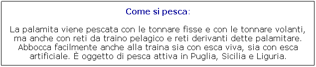 Casella di testo: Come si pesca:

La palamita viene pescata con le tonnare fisse e con le tonnare volanti, ma anche con reti da traino pelagico e reti derivanti dette palamitare. Abbocca facilmente anche alla traina sia con esca viva, sia con esca artificiale.  oggetto di pesca attiva in Puglia, Sicilia e Liguria. 
