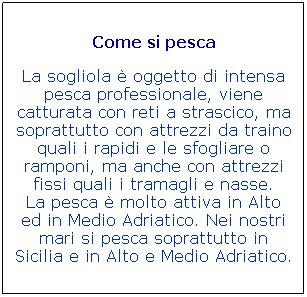 Casella di testo: Come si pesca

La sogliola  oggetto di intensa pesca professionale, viene catturata con reti a strascico, ma soprattutto con attrezzi da traino quali i rapidi e le sfogliare o ramponi, ma anche con attrezzi fissi quali i tramagli e nasse.
La pesca  molto attiva in Alto ed in Medio Adriatico. Nei nostri mari si pesca soprattutto in Sicilia e in Alto e Medio Adriatico. 
